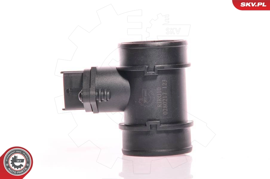 Mass Air Flow Sensor